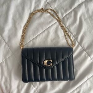 Tammie Clutch Crossbody With Puffy Linear Quilting RARE